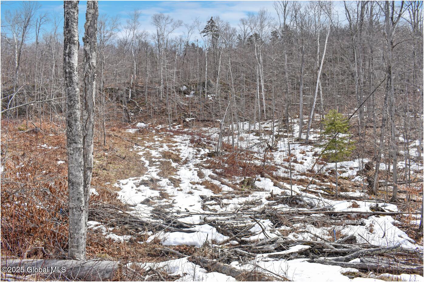 L48.4 Durkin Road North Creek, NY 12853 - Photo 56 of 74 d42