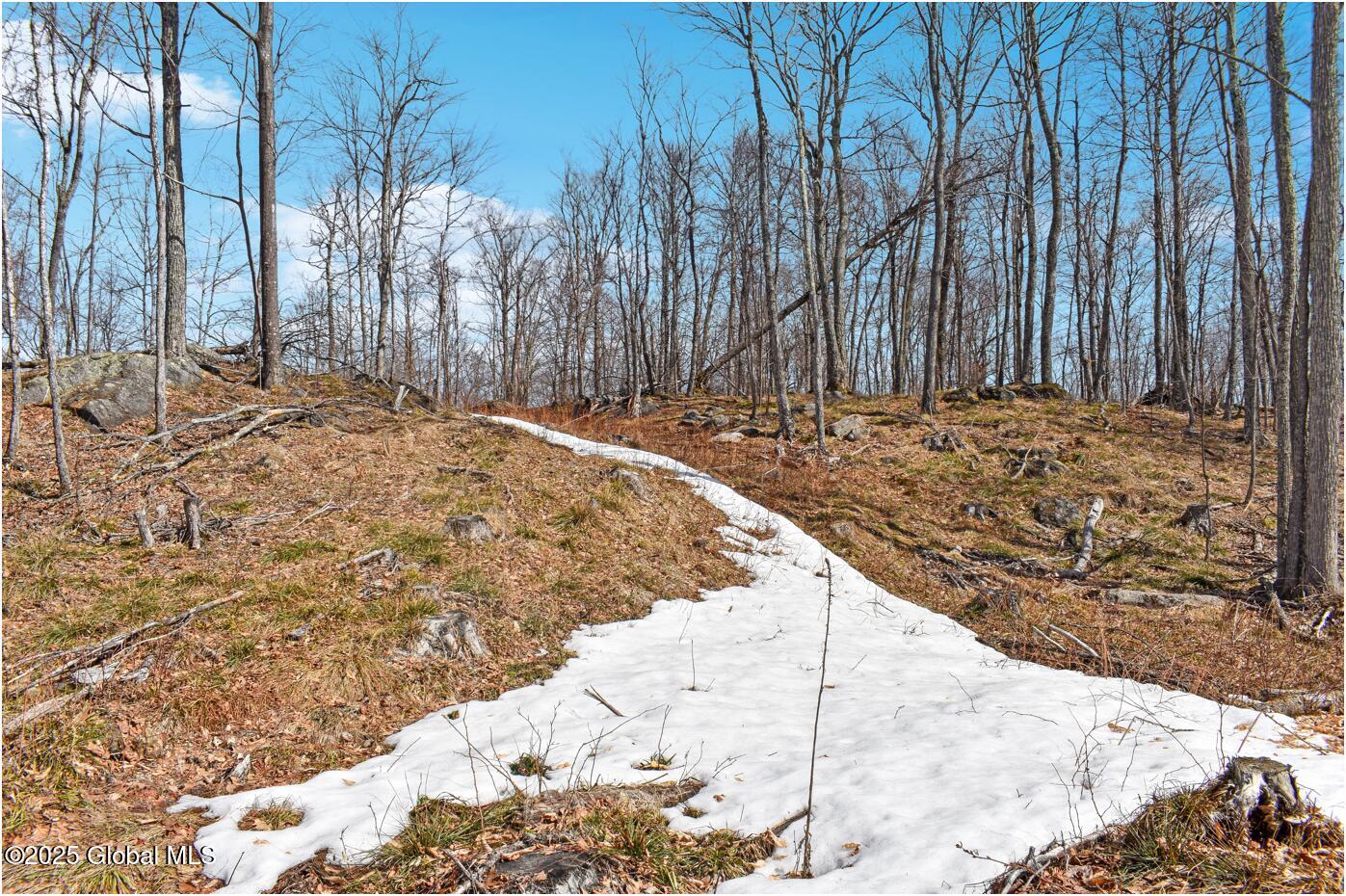 L48.4 Durkin Road North Creek, NY 12853 - Photo 57 of 74 d43