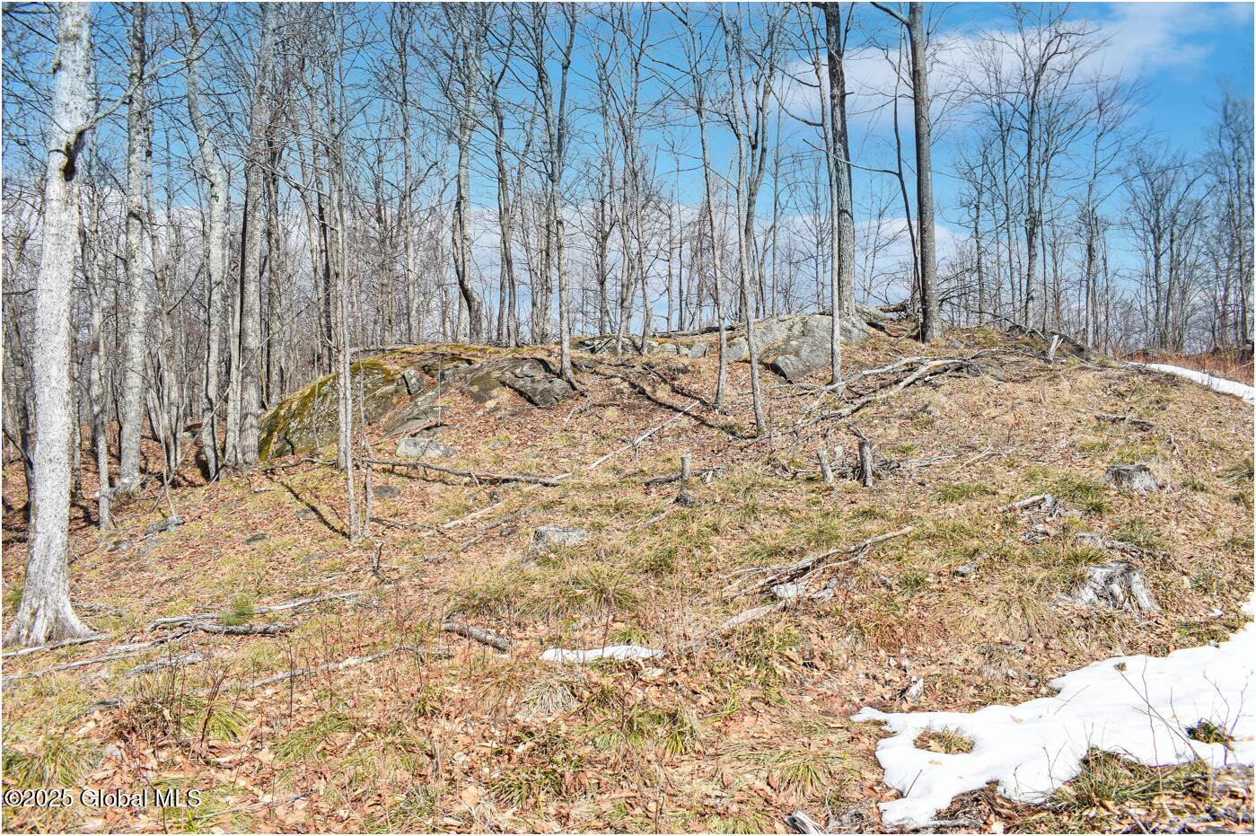 L48.4 Durkin Road North Creek, NY 12853 - Photo 58 of 74 d5