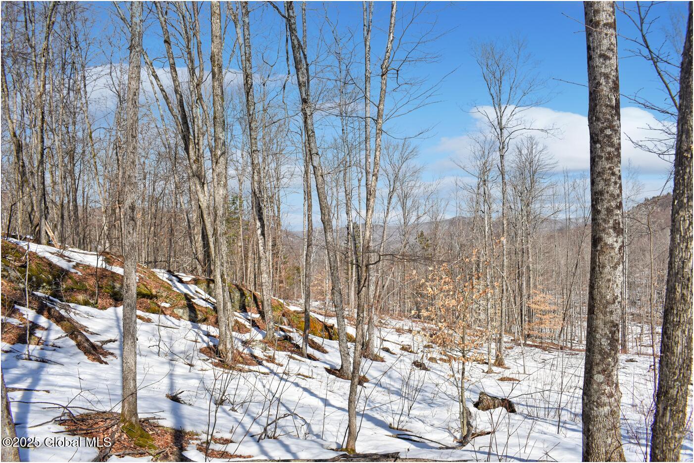 L48.4 Durkin Road North Creek, NY 12853 - Photo 59 of 74 d48