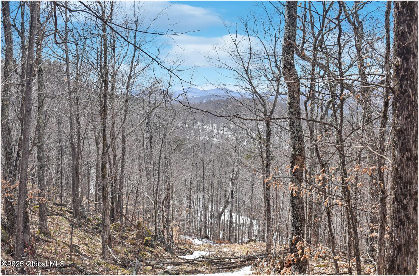 L48.4 Durkin Road North Creek, NY 12853 - Photo 60 of 74 d49