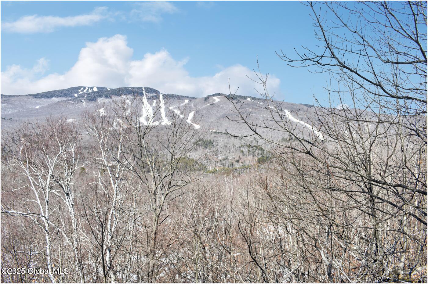 L48.4 Durkin Road North Creek, NY 12853 - Photo 6 of 74 d66