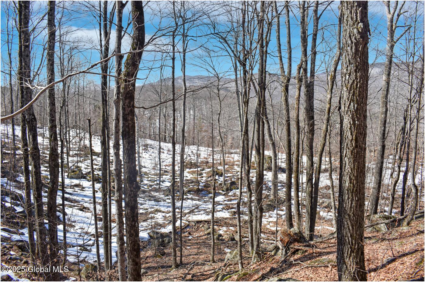 L48.4 Durkin Road North Creek, NY 12853 - Photo 61 of 74 d50