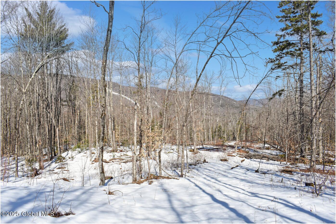 L48.4 Durkin Road North Creek, NY 12853 - Photo 62 of 74 d53