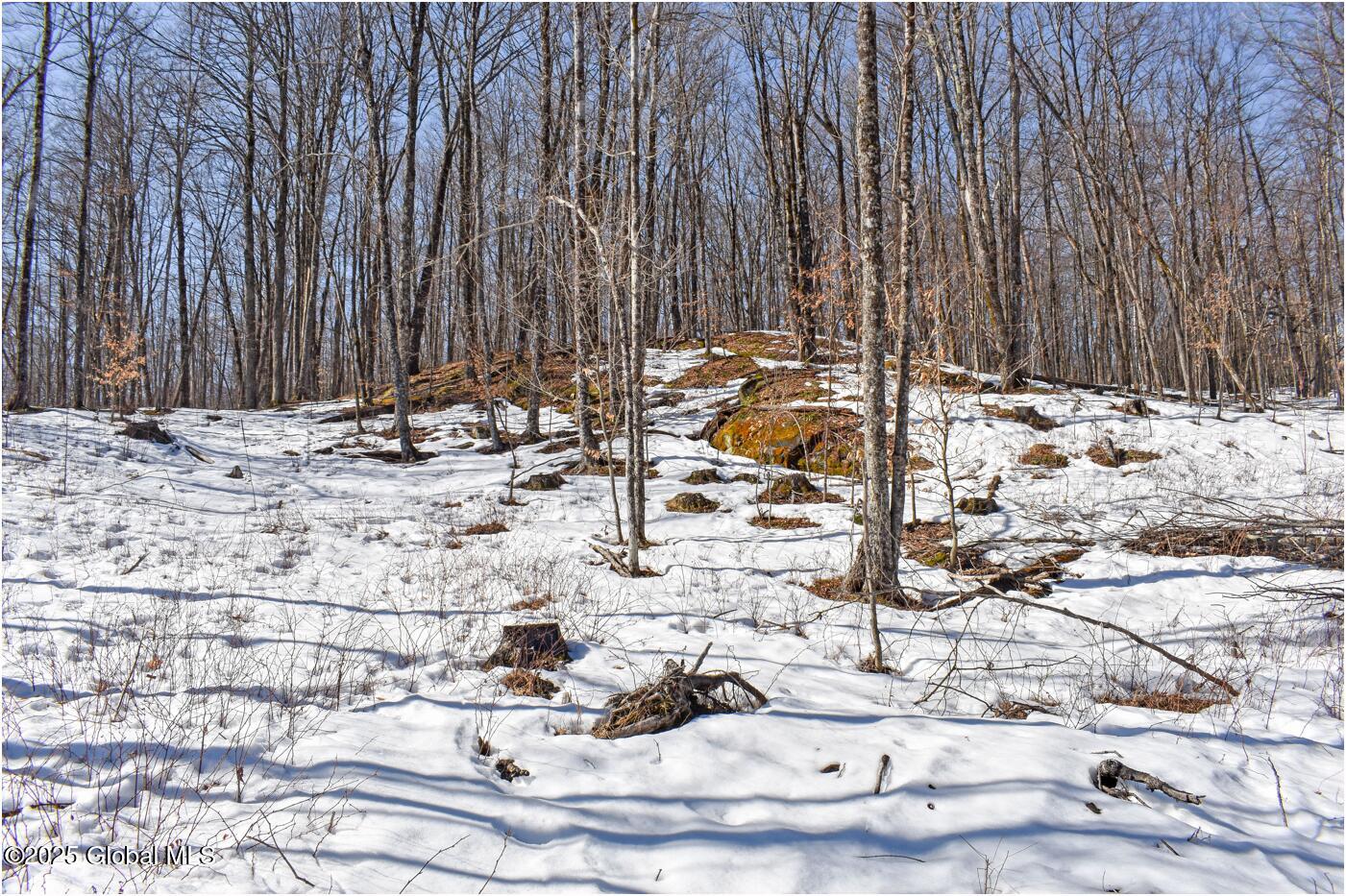 L48.4 Durkin Road North Creek, NY 12853 - Photo 63 of 74 d59