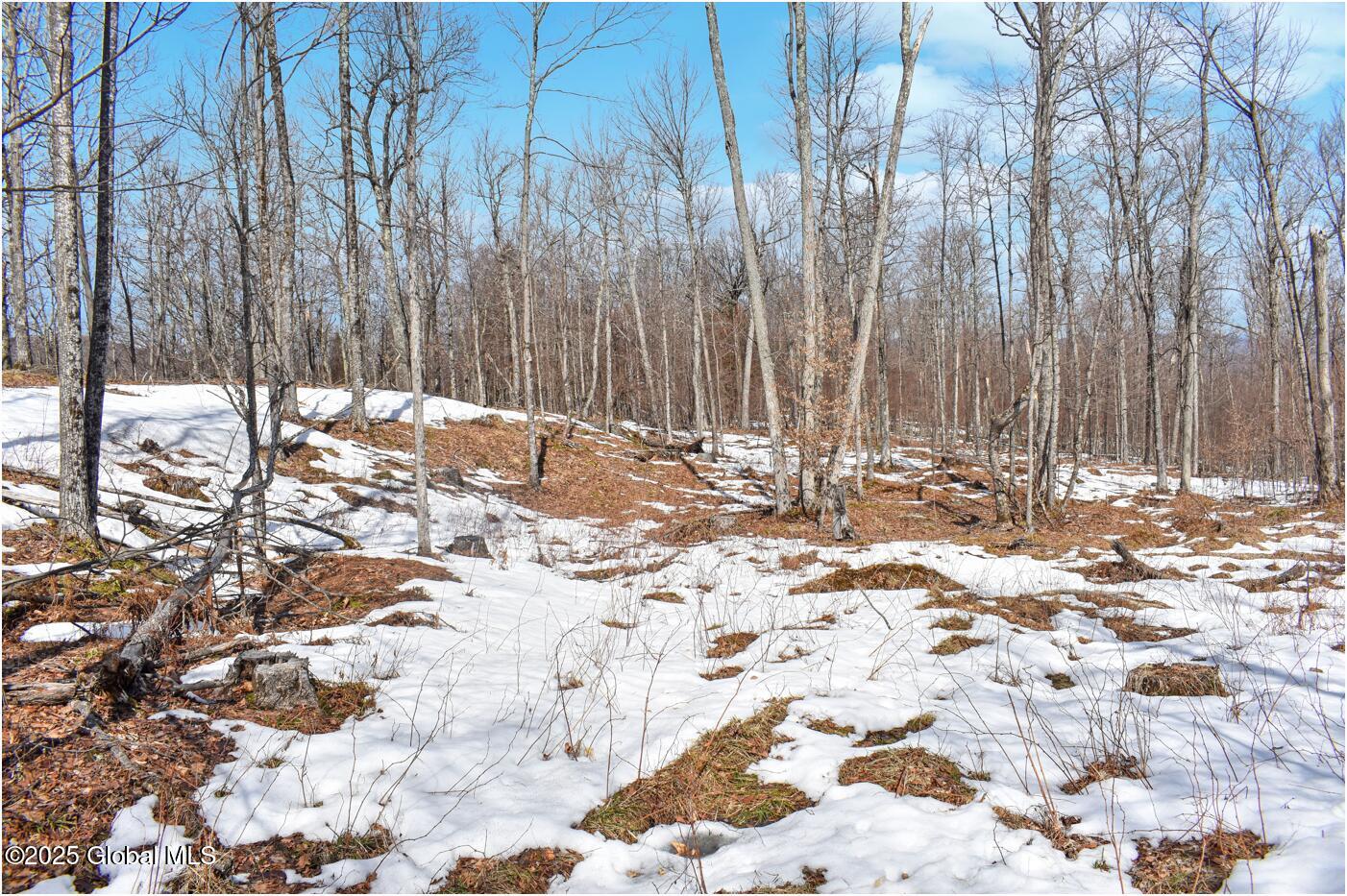 L48.4 Durkin Road North Creek, NY 12853 - Photo 64 of 74 d60