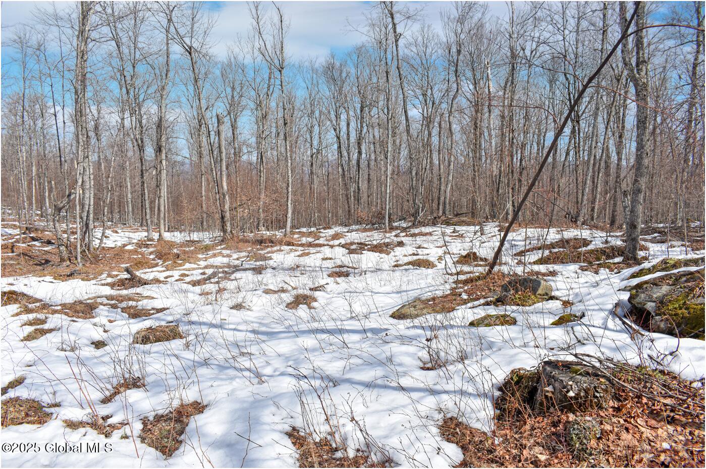 L48.4 Durkin Road North Creek, NY 12853 - Photo 65 of 74 d62