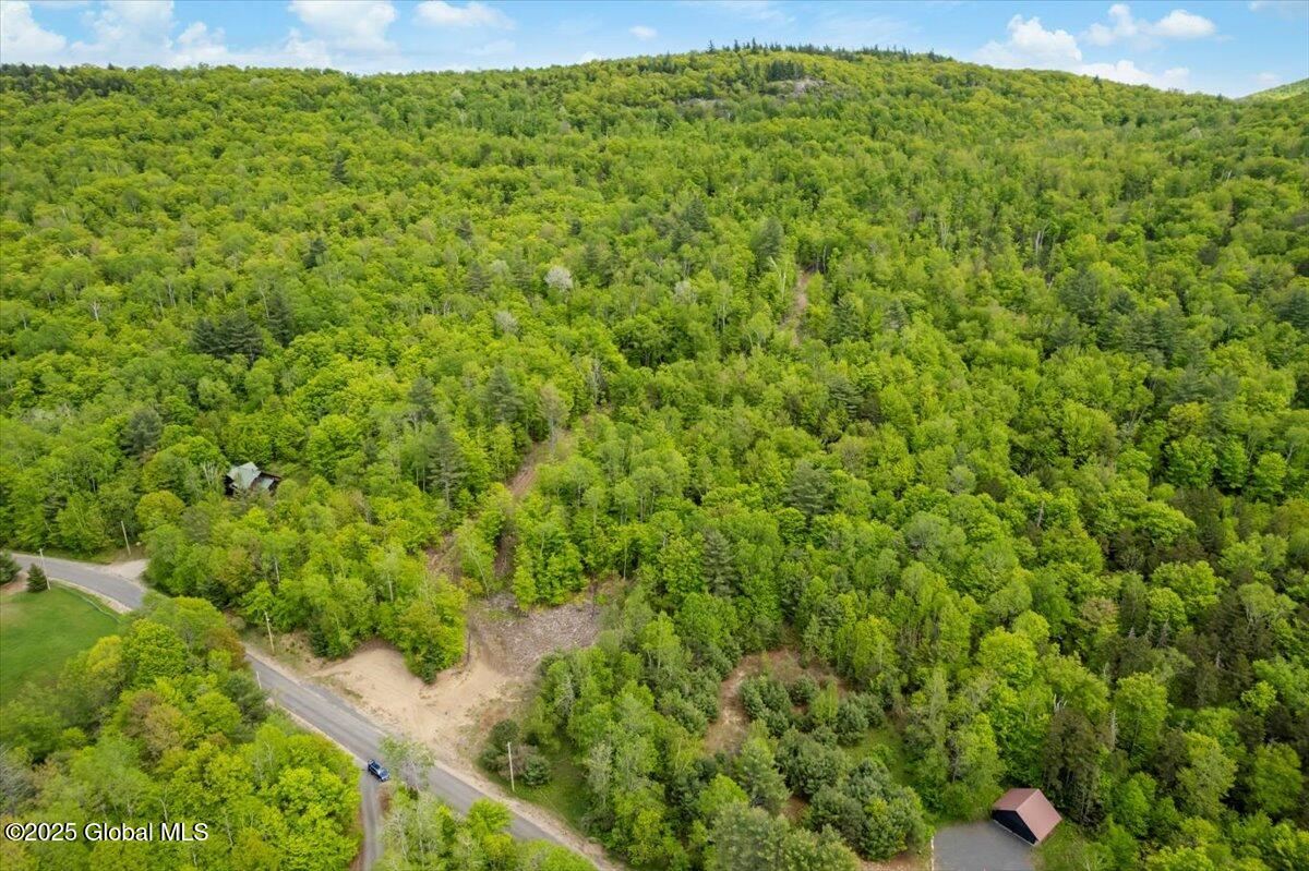 L48.4 Durkin Road North Creek, NY 12853 - Photo 68 of 74 3-DJI_0616