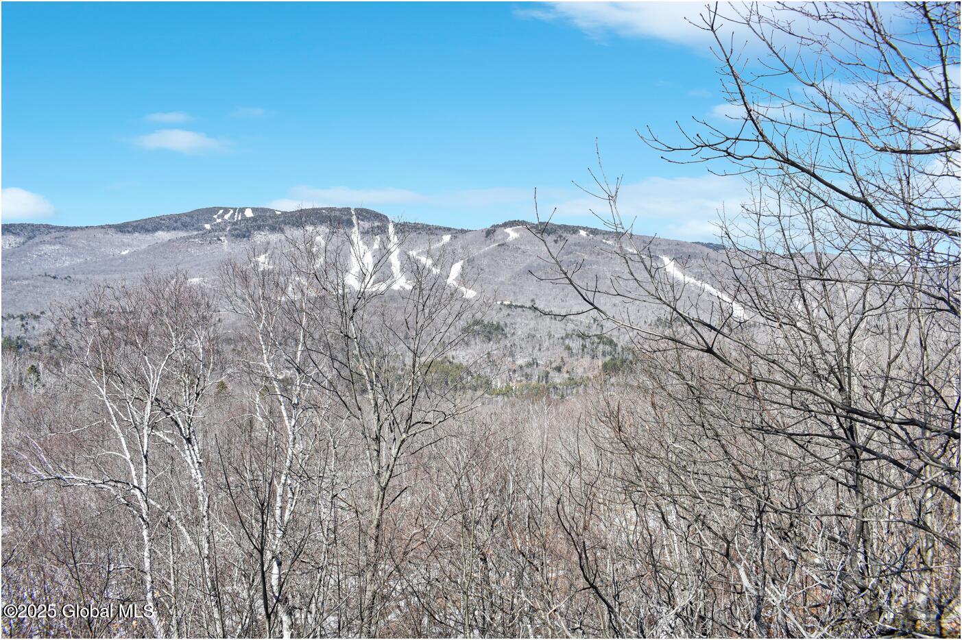 L48.4 Durkin Road North Creek, NY 12853 - Photo 7 of 74 d30