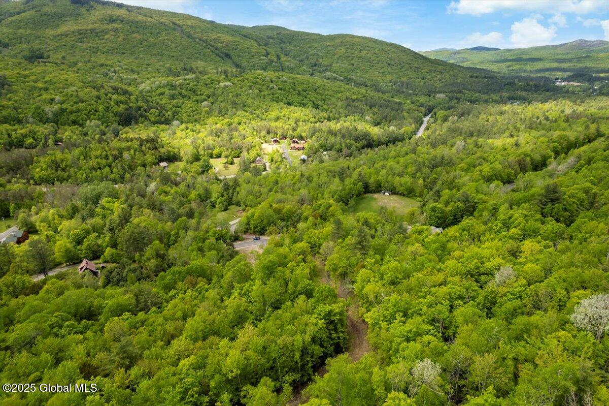 L48.4 Durkin Road North Creek, NY 12853 - Photo 71 of 74 6-DJI_0625