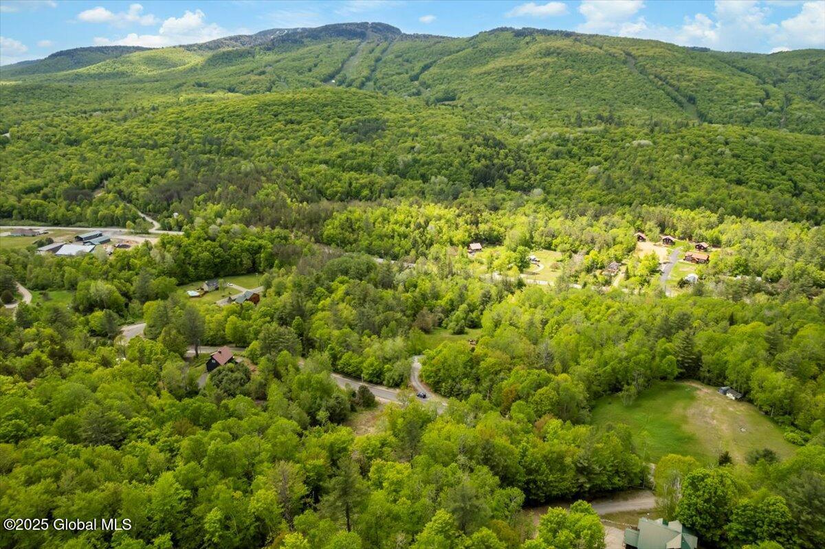 L48.4 Durkin Road North Creek, NY 12853 - Photo 72 of 74 7-DJI_0628