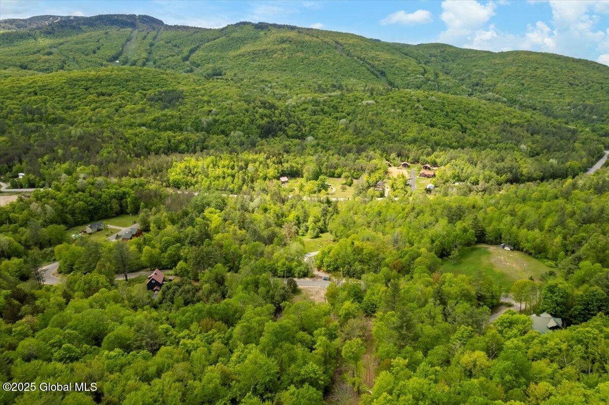 L48.4 Durkin Road North Creek, NY 12853 - Photo 73 of 74 8-DJI_0631