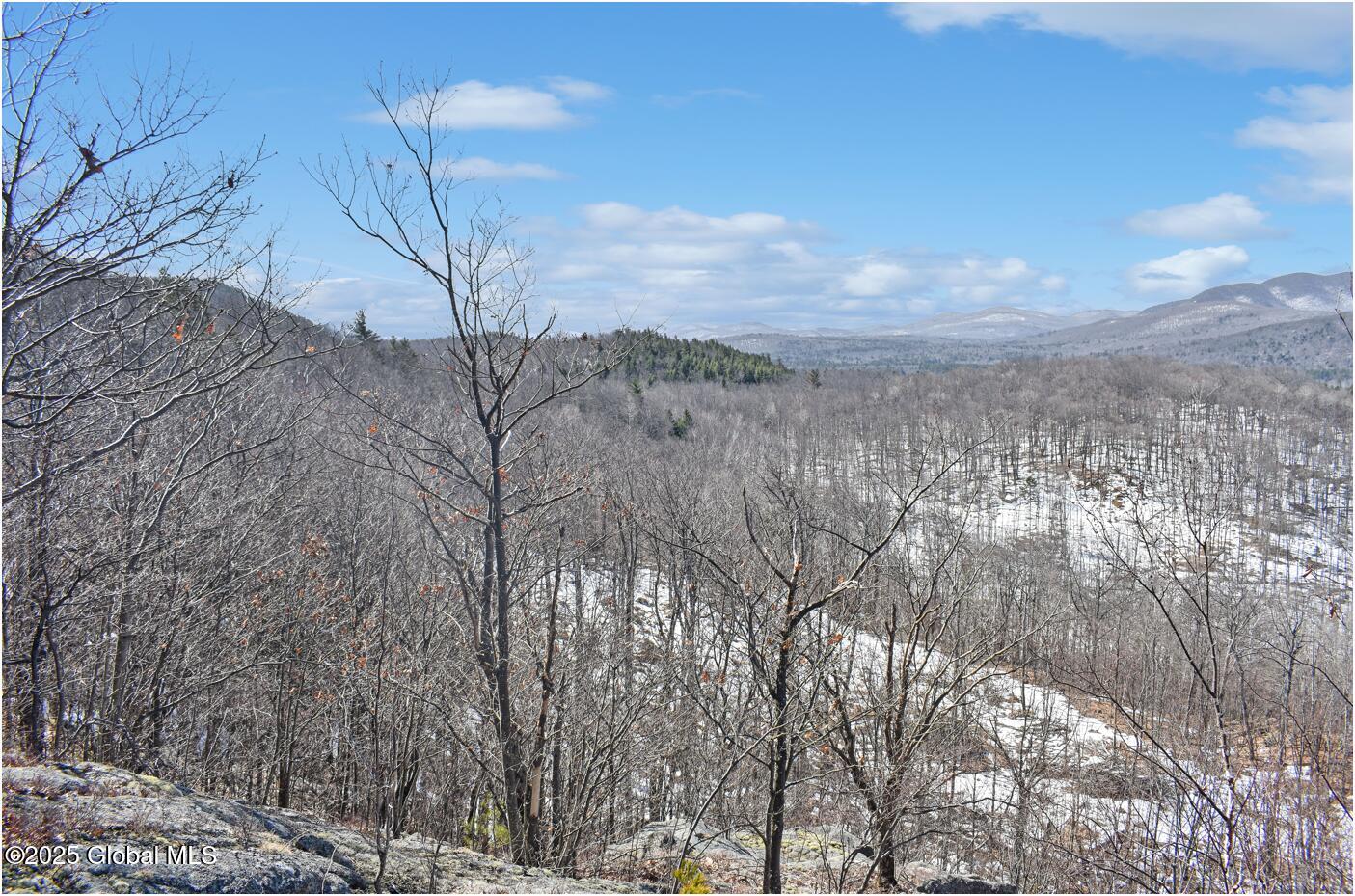 L48.4 Durkin Road North Creek, NY 12853 - Photo 8 of 74 d58