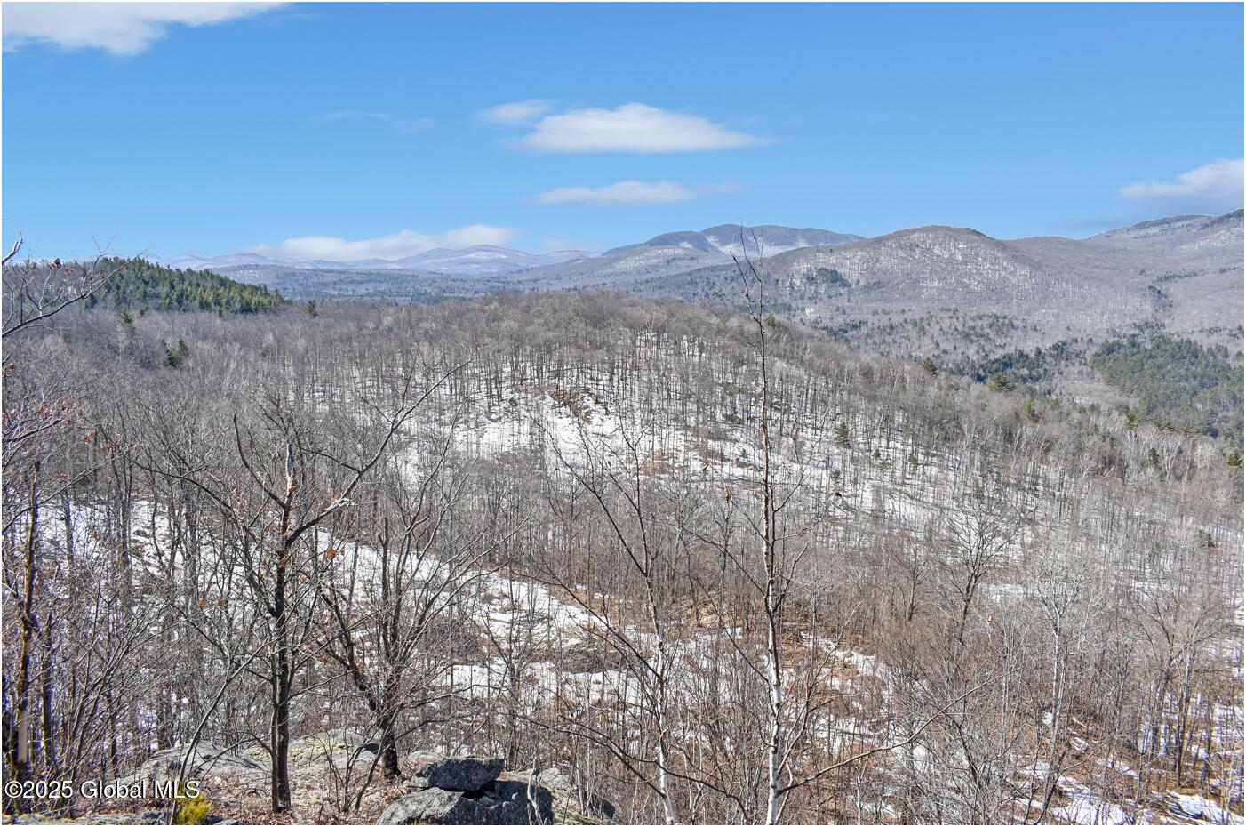 L48.4 Durkin Road North Creek, NY 12853 - Photo 9 of 74 d52