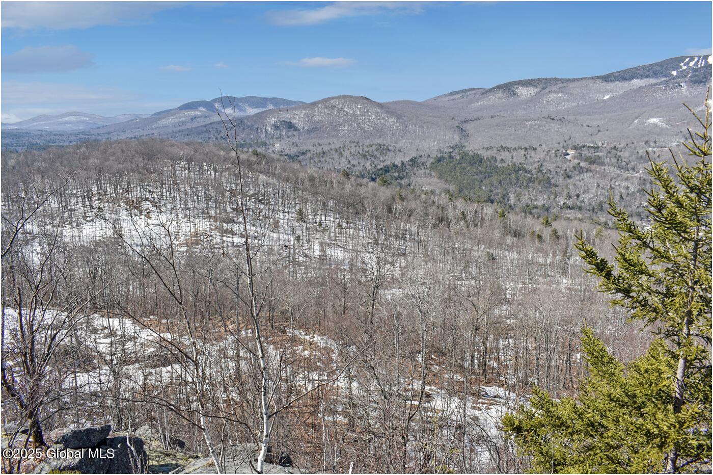 L48.4 Durkin Road North Creek, NY 12853 - Photo 10 of 74 d40