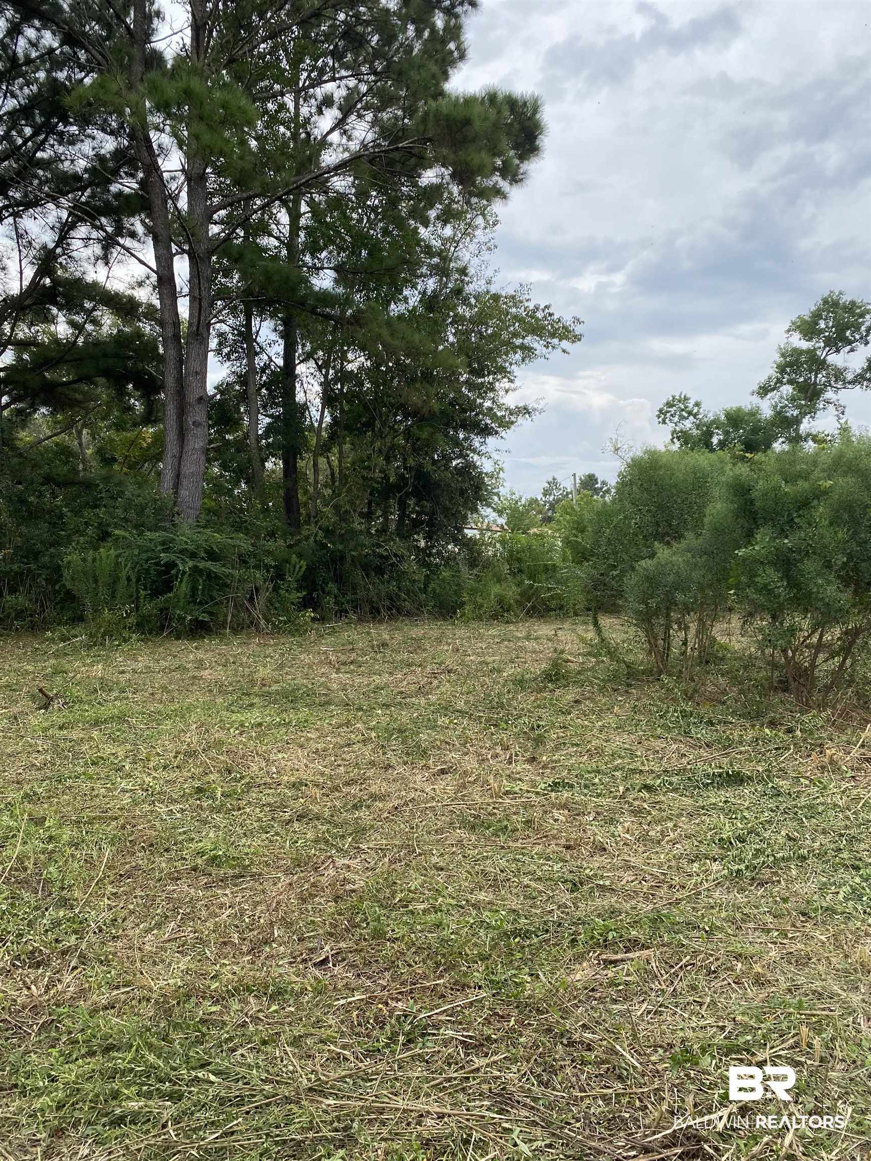 7498 A Rabbit Run Road Fairhope, AL 36532 - Photo 3 of 5
