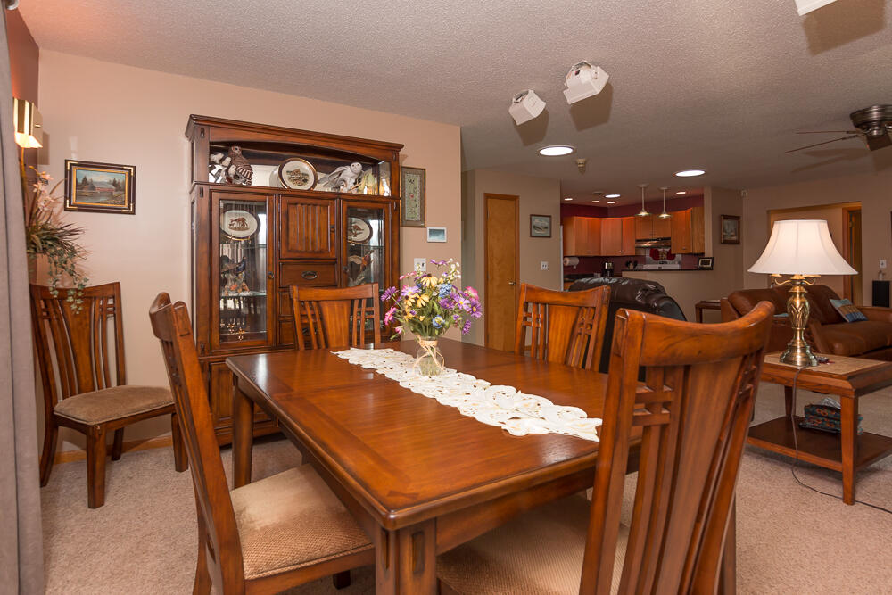 46699 Prospect Drive Decatur, MI 49045 - Photo 19 of 42 Dining room a