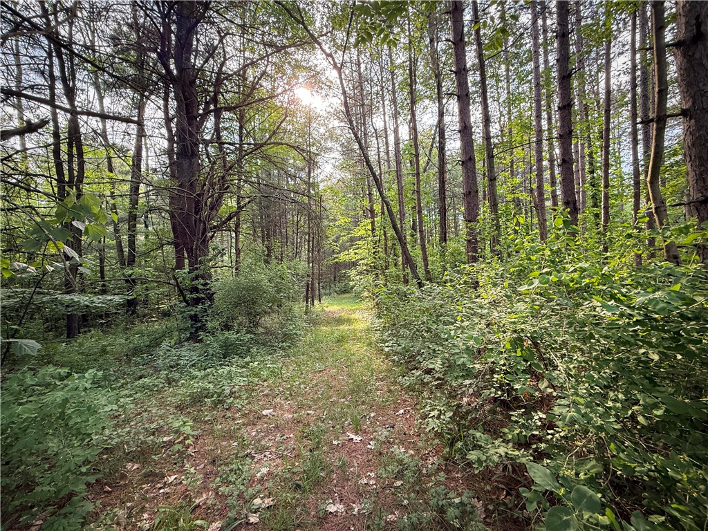 450 Dean Creek Road Spencer, NY 14883 - Photo 29 of 50