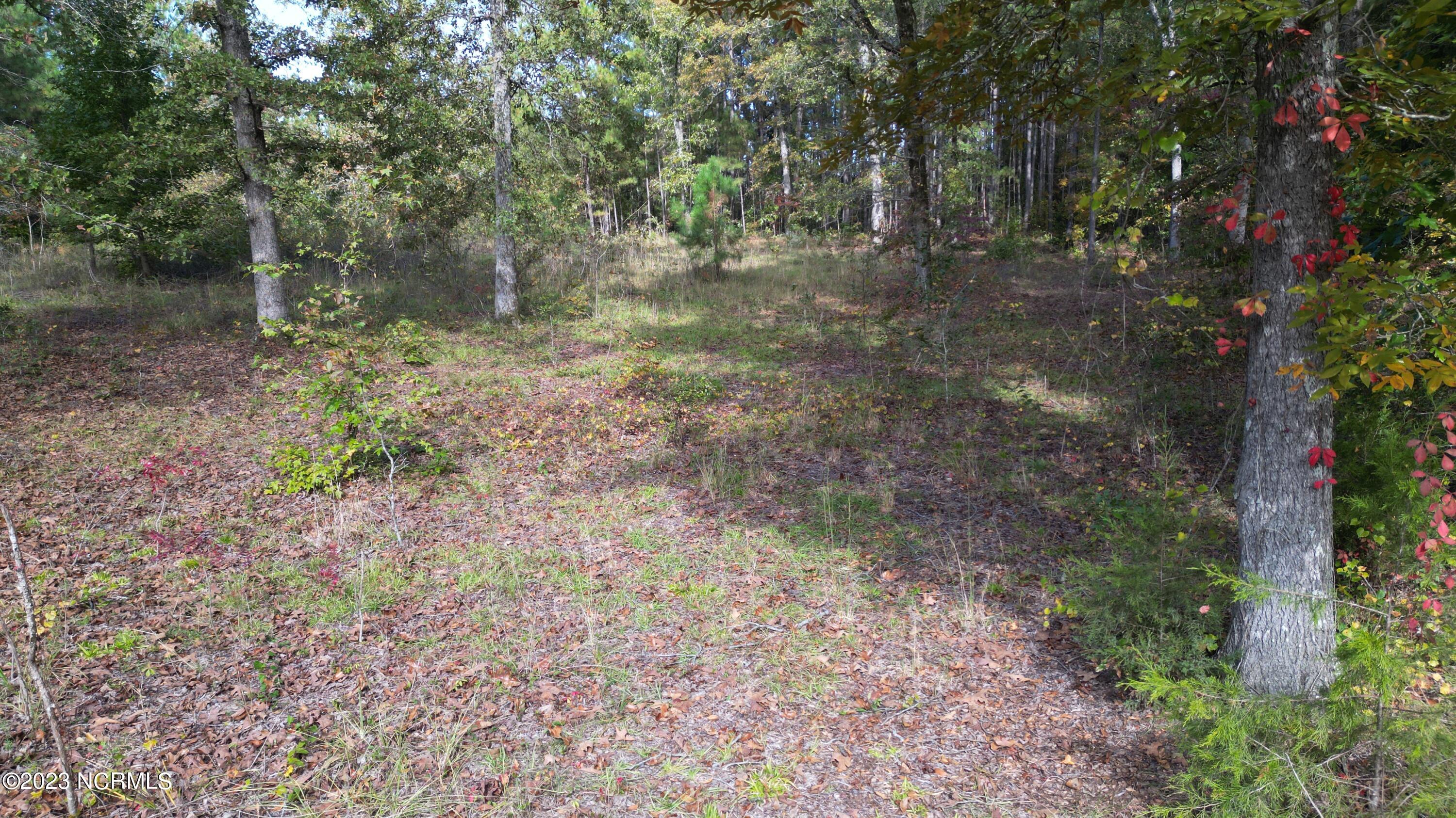 18.33-acre McPherson Road Vass, NC 28394 - Photo 30 of 39 DJI_0149