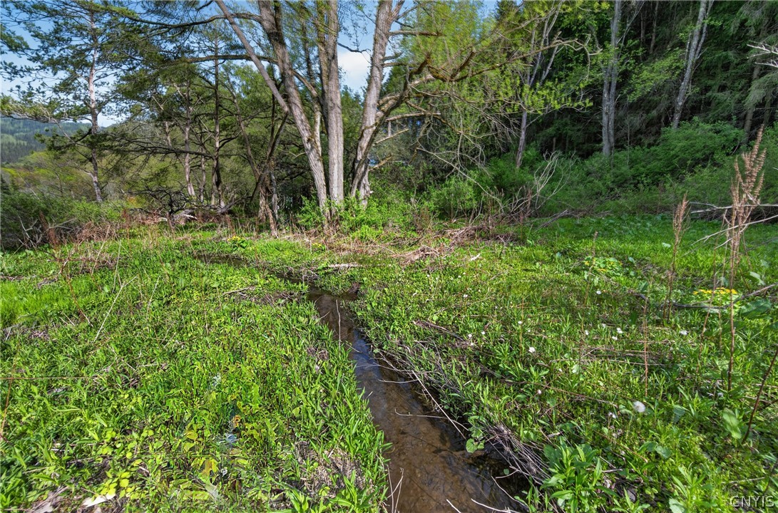 1024 N Road Tully, NY 13159 - Photo 39 of 49 Stream