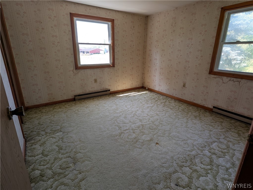 3402 Fruit Avenue Ridgeway, NY 14103 - Photo 33 of 50