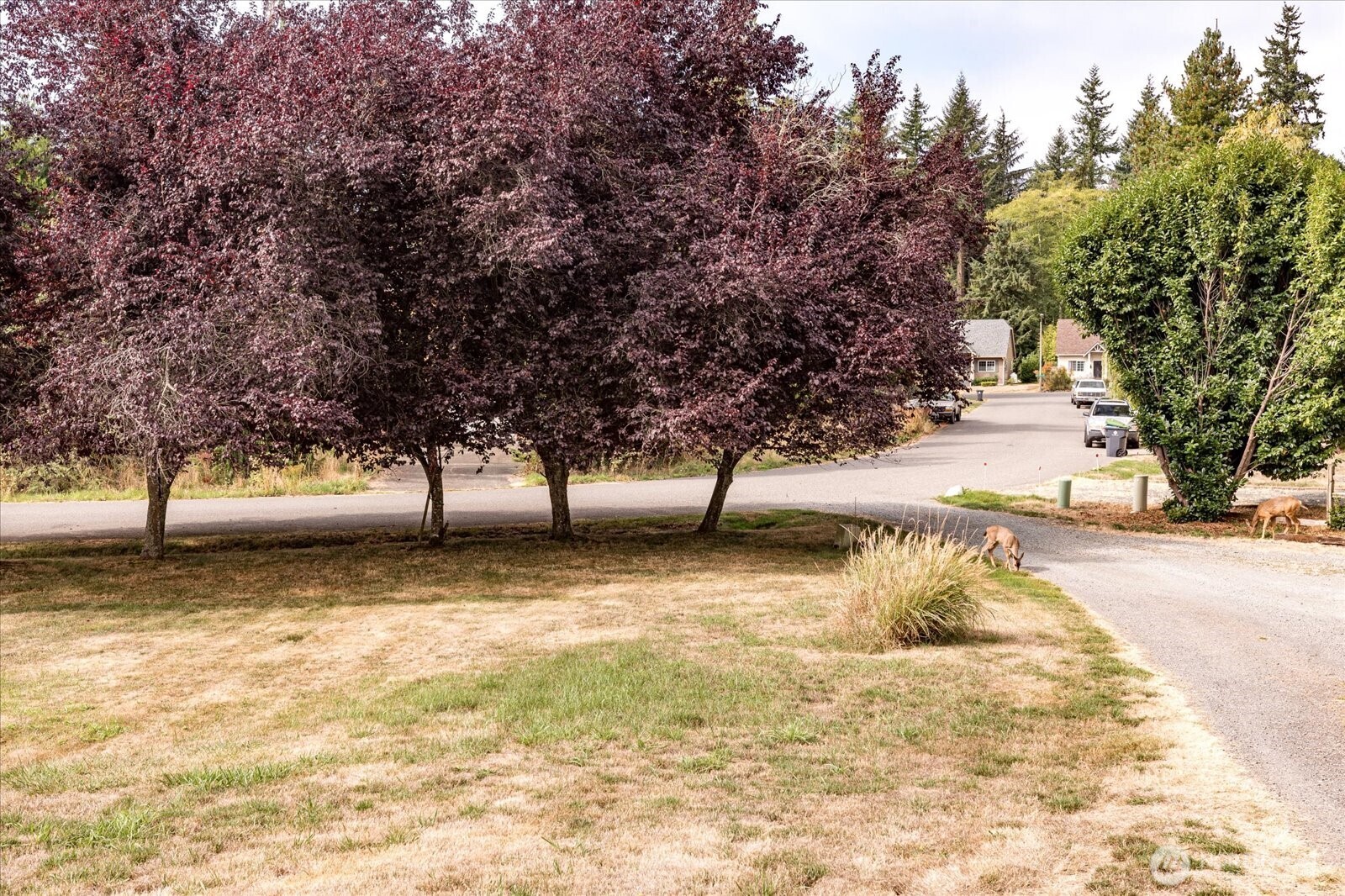 3641 Britzman Loop Clinton, WA 98236 - Photo 25 of 26 Gallery Image 25