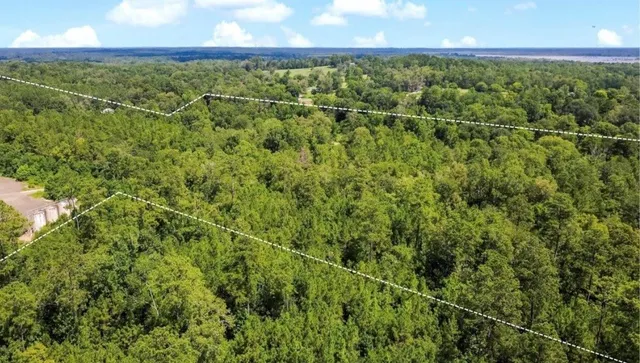 $167,475 | 4090 County Road 4090, Woodville, TX 75979