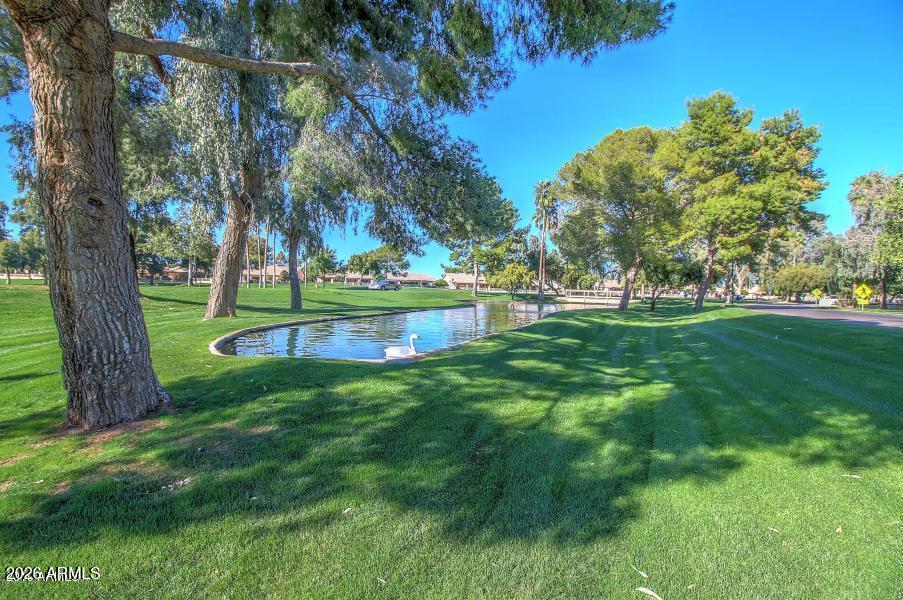 14300 West Bell Road, Unit 166 Surprise, AZ 85374 - Photo 24 of 35 sun village golf2