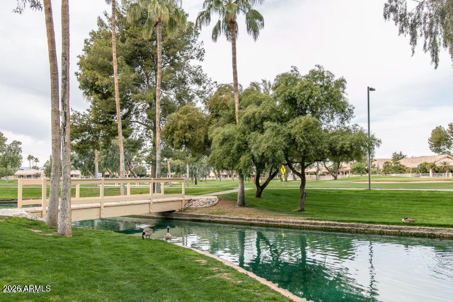 14300 West Bell Road, Unit 166 Surprise, AZ 85374 - Photo 26 of 35 sun village water