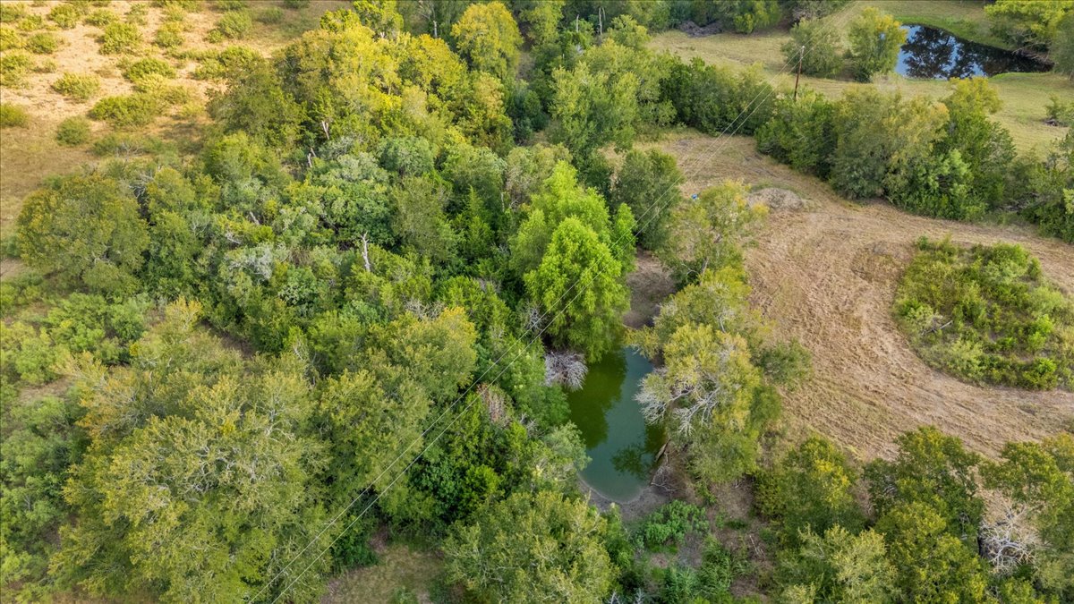 Tbd Hibbs Lane Manor, TX 78653 - Photo 3 of 12 a view of a forest with a pathway