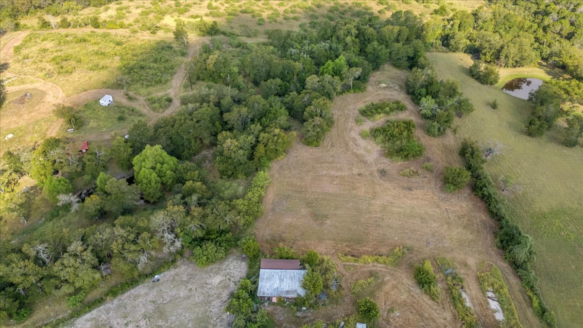 Tbd Hibbs Lane Manor, TX 78653 - Photo 5 of 12 a view of a yard with plants and large trees
