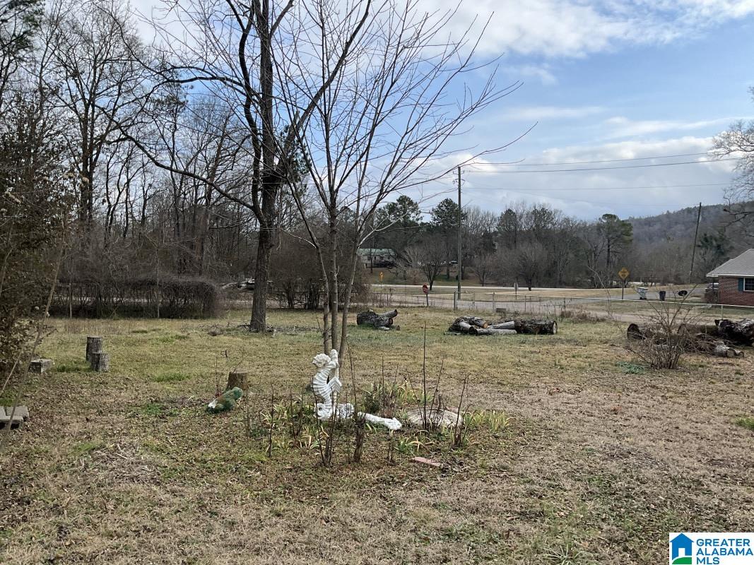 474 Cobb Street Oakman, AL 35579 - Photo 22 of 23