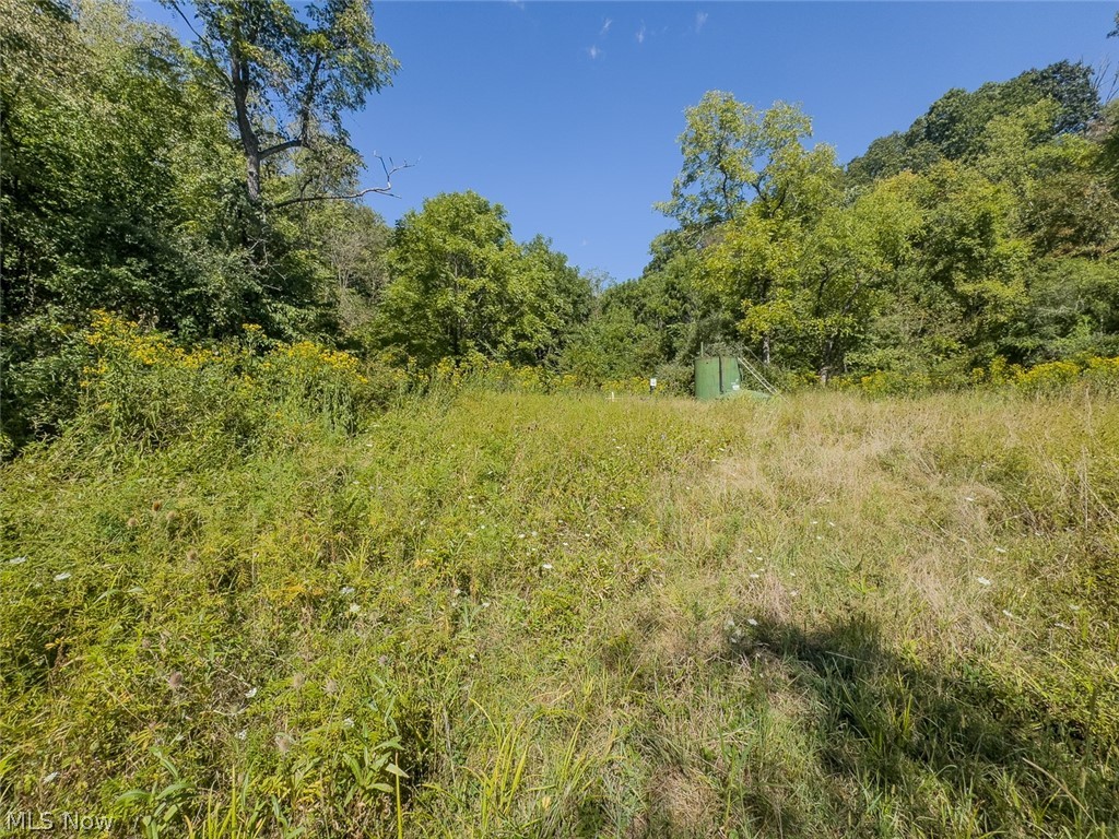 0 Brewer Road Cadiz, OH 43907 - Photo 19 of 37 View of wooded area