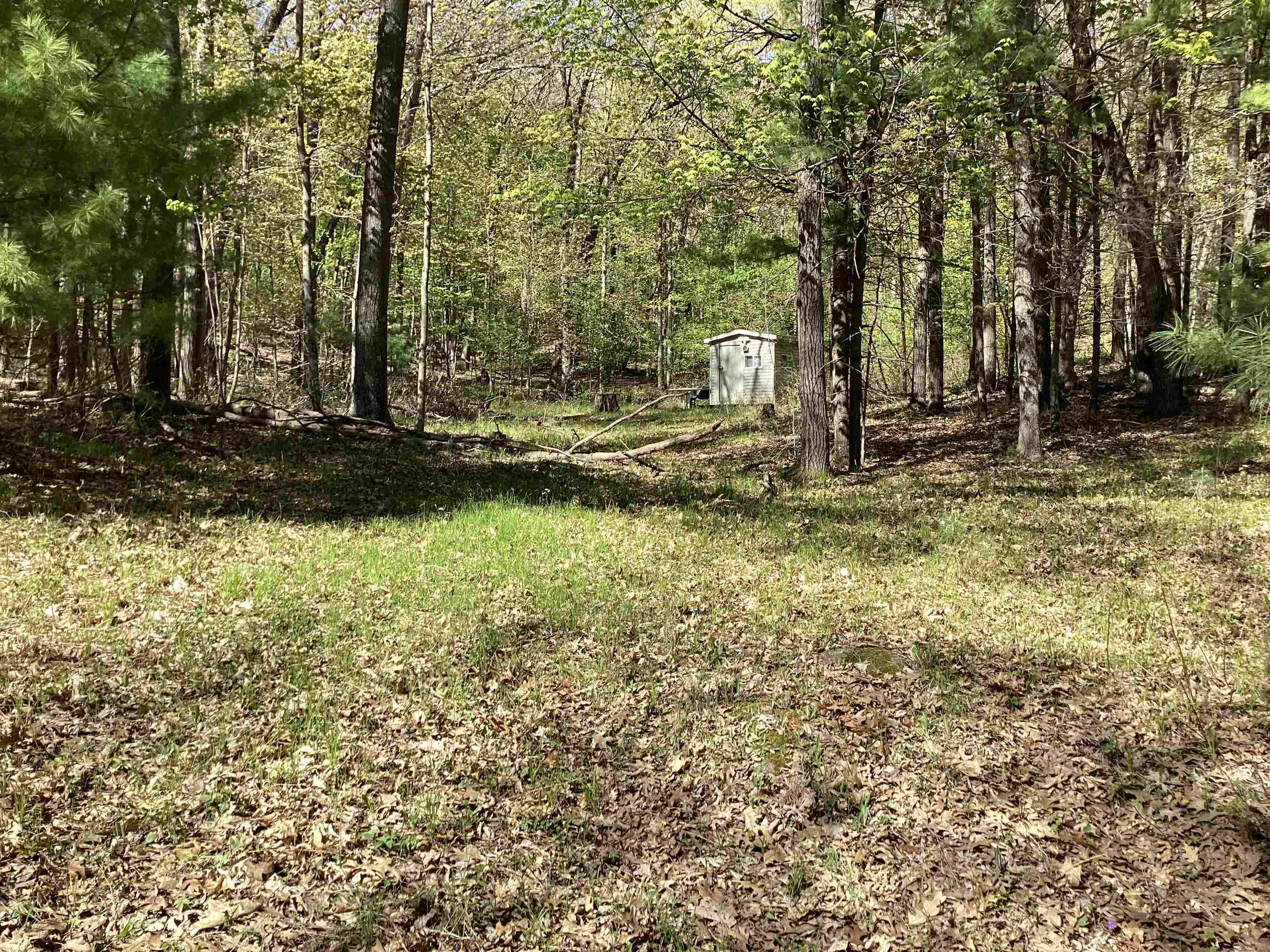 W3006 Ridge Road Pine River, WI 54965 - Photo 2 of 5