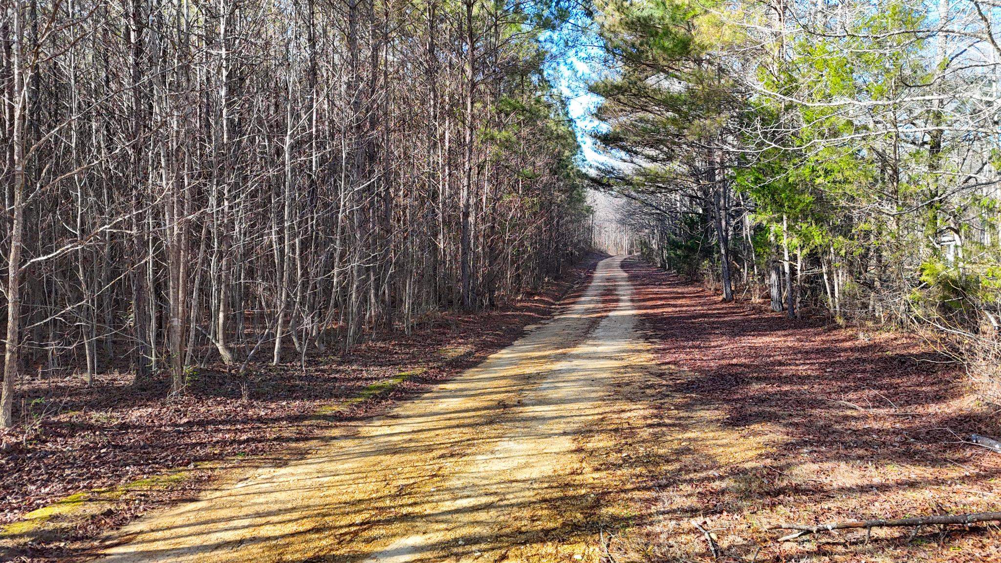 992 Rd Iuka Ms 38852 Iuka, MS 38852 - Photo 5 of 5
