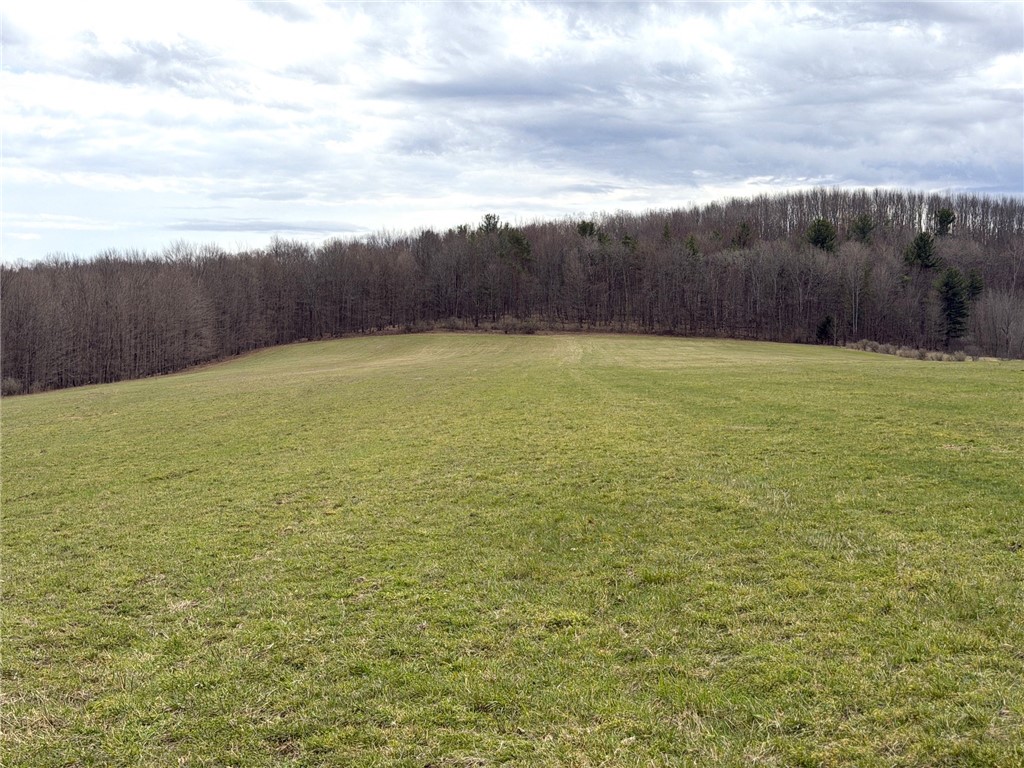 Lot 7 Summit Road Cuba, NY 14727 - Photo 8 of 31