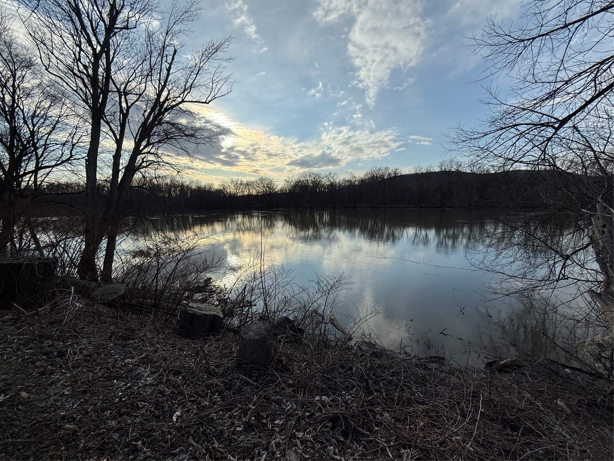 23 Riverbank Road Vestal, NY 13850 - Photo 11 of 13