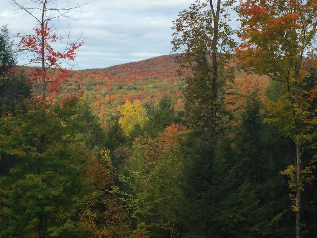 54 George Hill Road Enfield, NH 03748 - Photo 27 of 34 Gallery Image 27