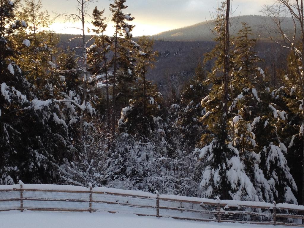 54 George Hill Road Enfield, NH 03748 - Photo 30 of 34 Gallery Image 30