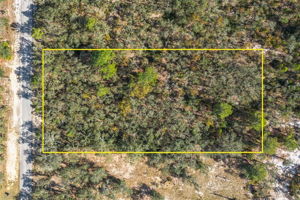 0 Deer Road Frostproof, FL 33843 - Photo 8 of 10 a small bathroom with a small yard and a potted plant