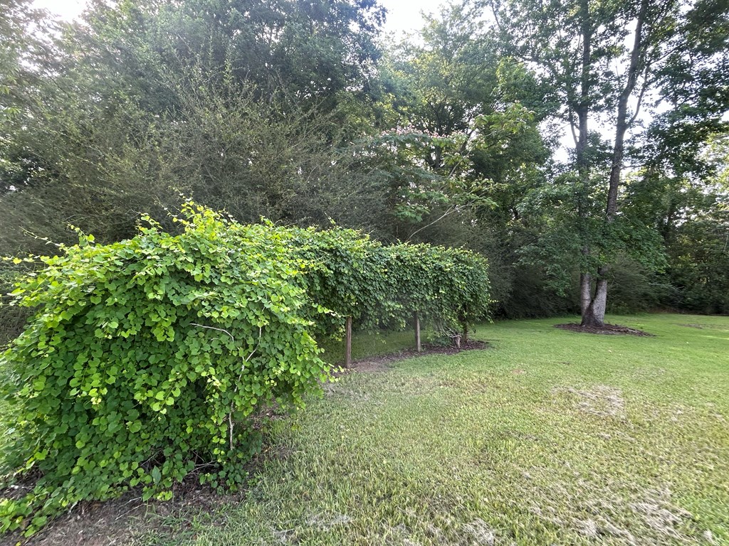 7697 Eddins Road Dothan, AL 36301 - Photo 64 of 65