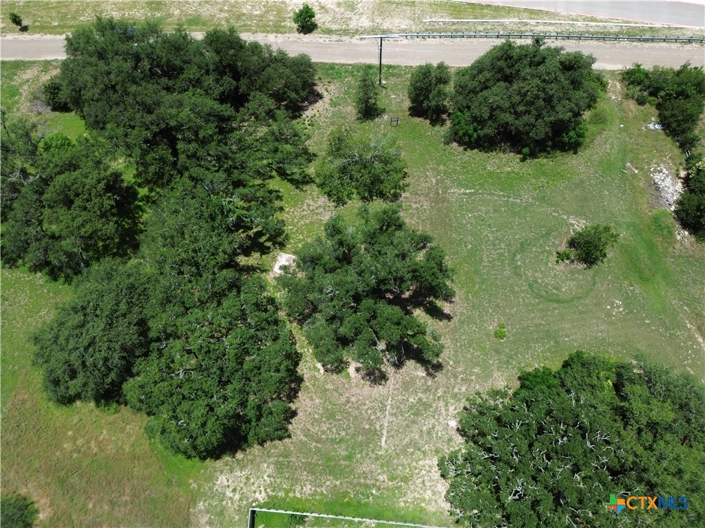 731 Santa Maria Road Salado, TX 76571 - Photo 4 of 15