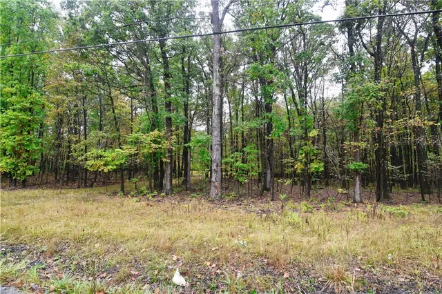 a backyard of a house with lots of green space and chair