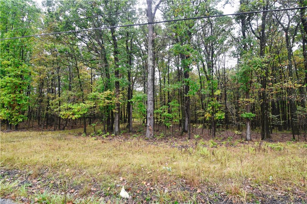 0 East State Road Seneca, PA 16346 - Photo 1 of 13 a backyard of a house with lots of green space and chair