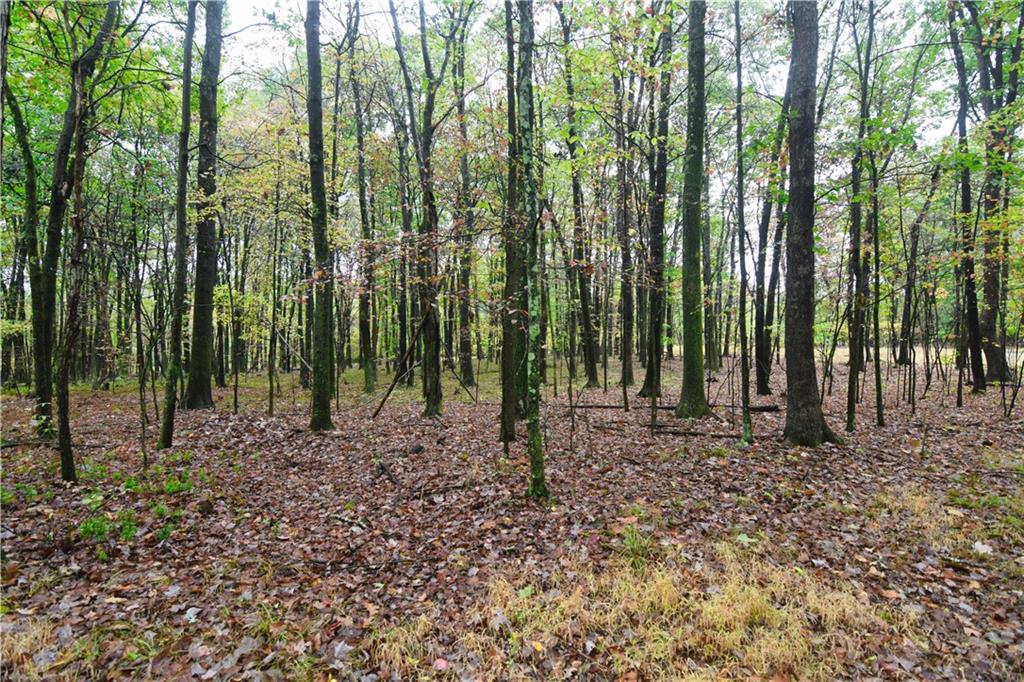 0 East State Road Seneca, PA 16346 - Photo 11 of 13 a view of outdoor space and covered with trees