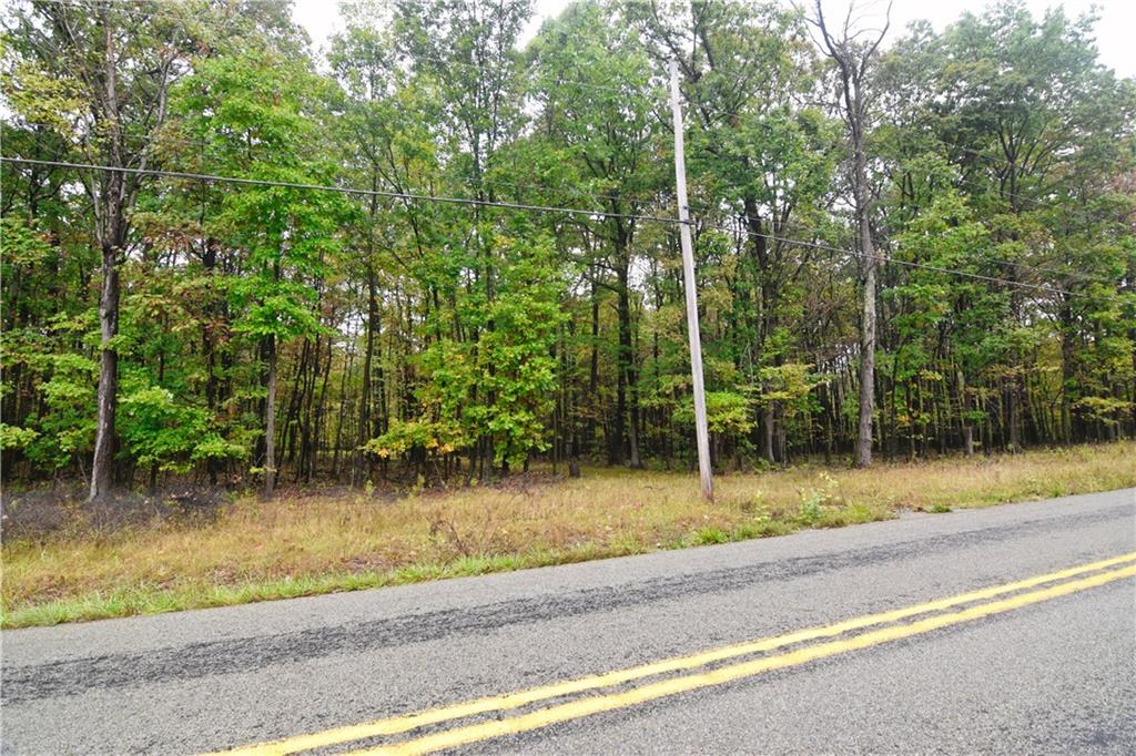 0 East State Road Seneca, PA 16346 - Photo 12 of 13 a view of a yard with a tree