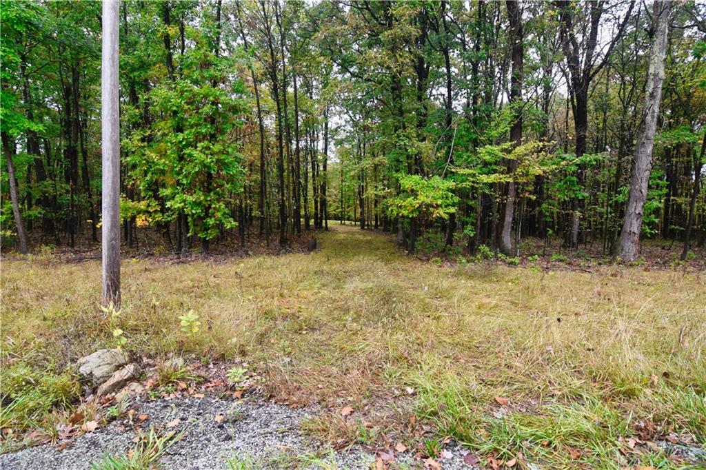 0 East State Road Seneca, PA 16346 - Photo 13 of 13 a view of backyard with green space