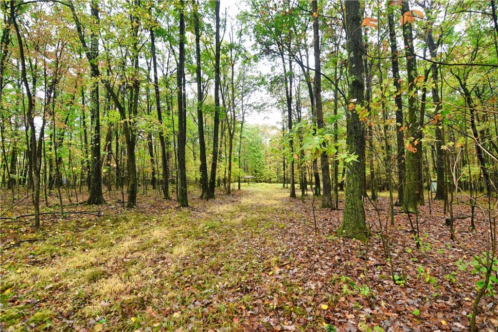 0 East State Road Seneca, PA 16346 - Photo 3 of 13 a view of backyard with green space