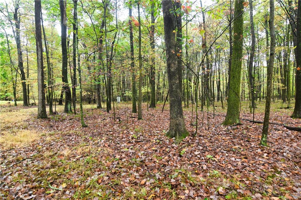 0 East State Road Seneca, PA 16346 - Photo 4 of 13 a view of outdoor space with lots of trees