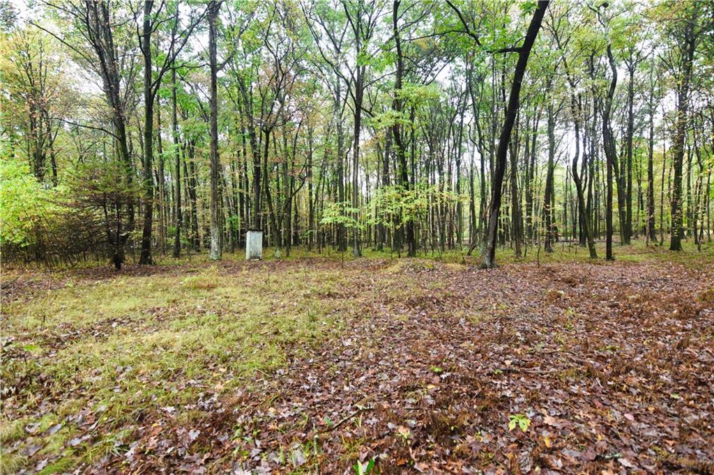 0 East State Road Seneca, PA 16346 - Photo 5 of 13 a view of outdoor space with trees all around